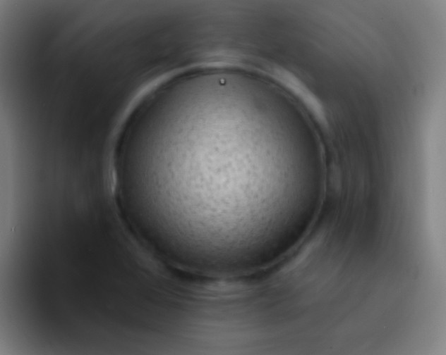 X0000094351368200711162021