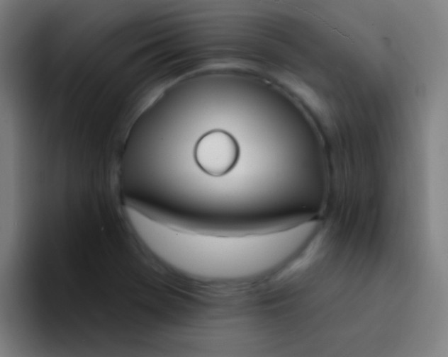 X0000094351369200711162021