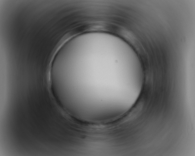 X0000094351370200711162021