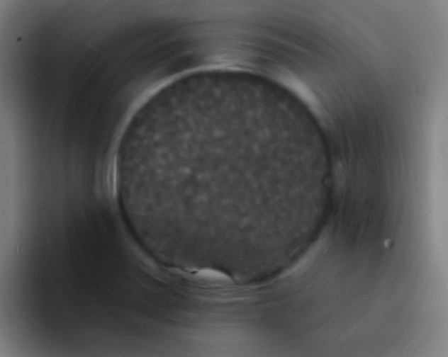 X0000094351371200711162021