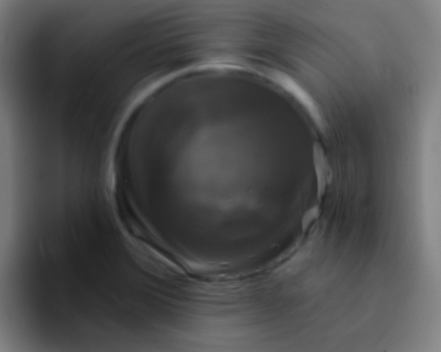 X0000094351372200711162021