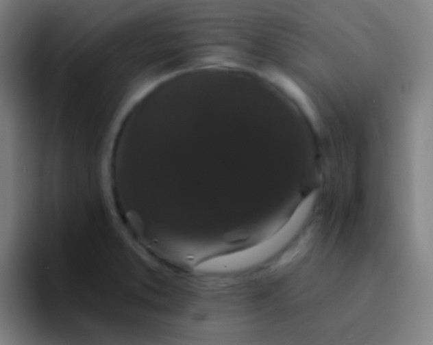 X0000094351373200711162021