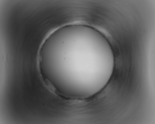 X0000094351374200711162021