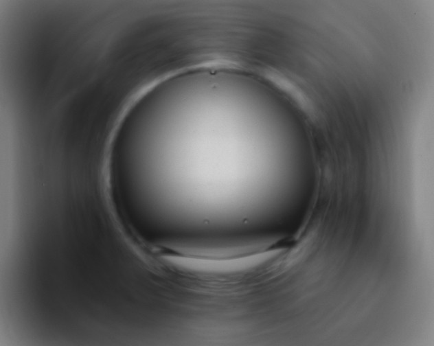 X0000094351375200711162021