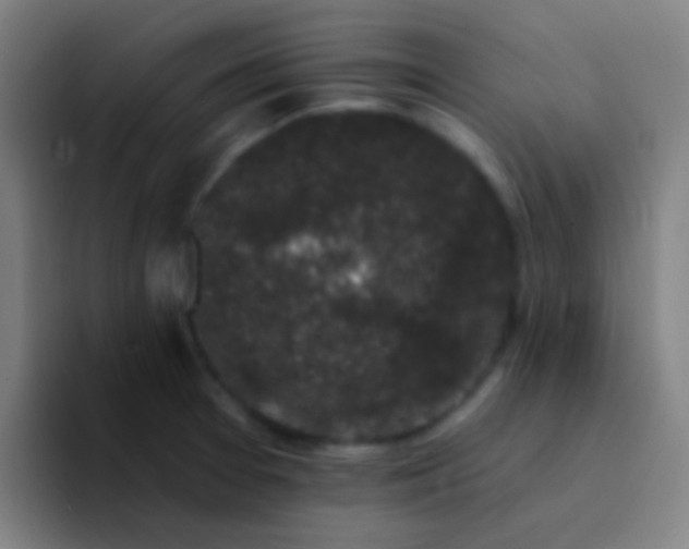 X0000094351377200711162021