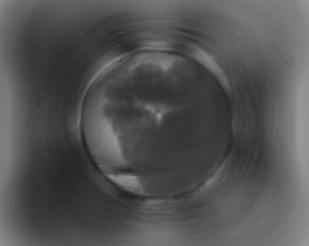 X0000094351378200711162021