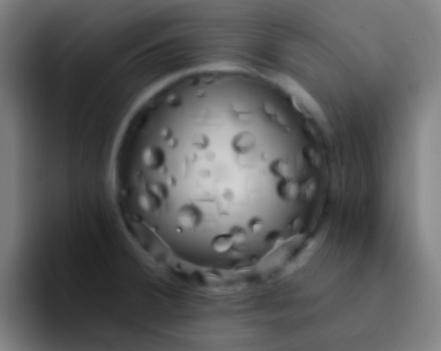 X0000094351380200711162021