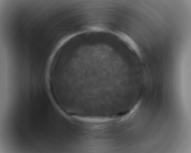 X0000094351381200711162021