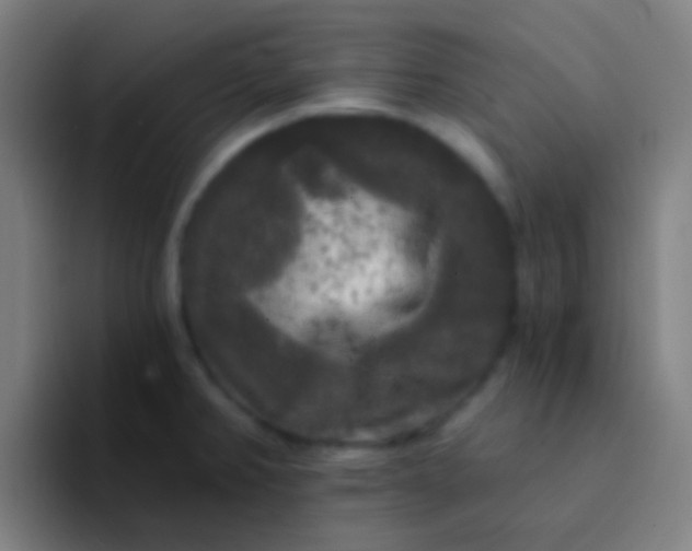 X0000094351382200711162021