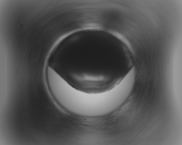 X0000094351383200711162021