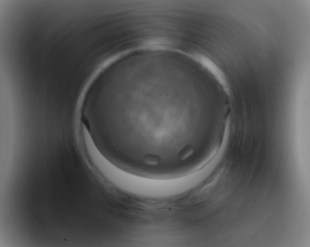 X0000094351384200711162021