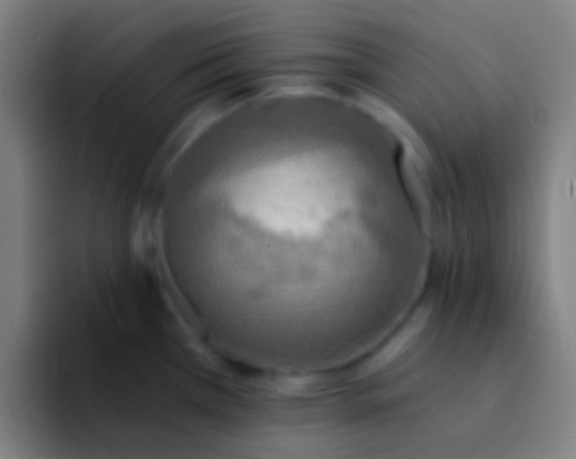 X0000094351385200711162021