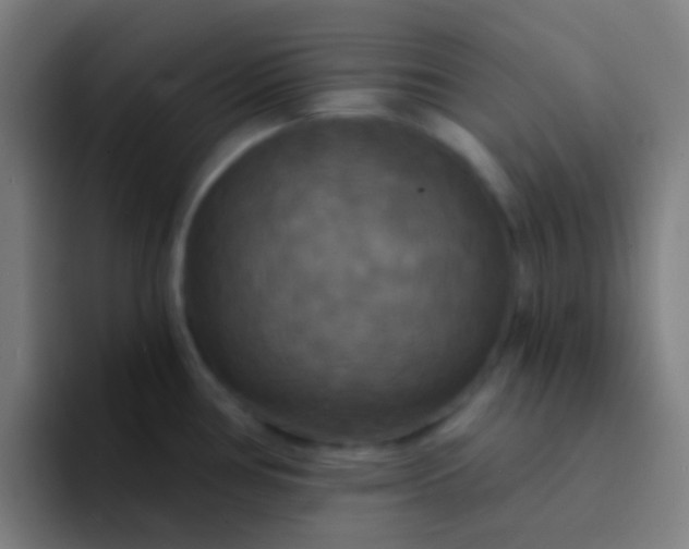 X0000094351386200711162021