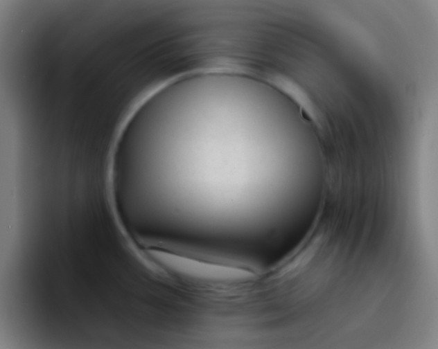 X0000094351387200711162021