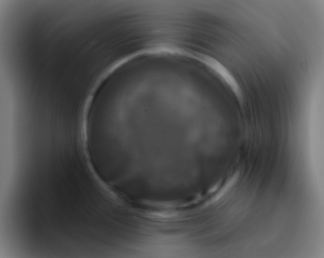 X0000094351388200711162021