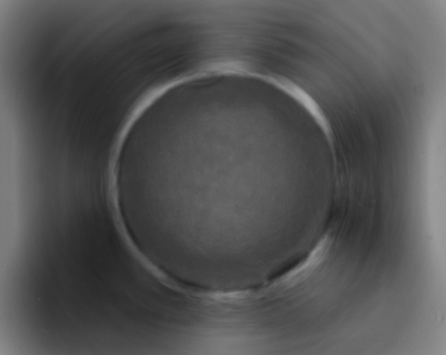 X0000094351389200711162021