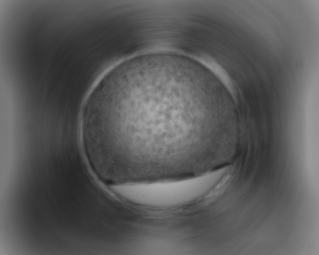 X0000094351390200711162021