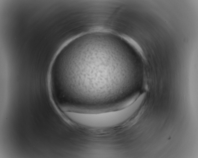 X0000094351391200711162021