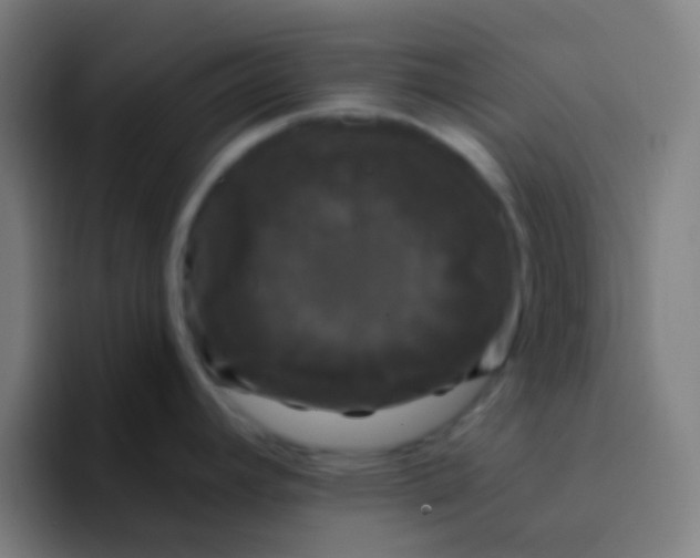 X0000094351392200711162021