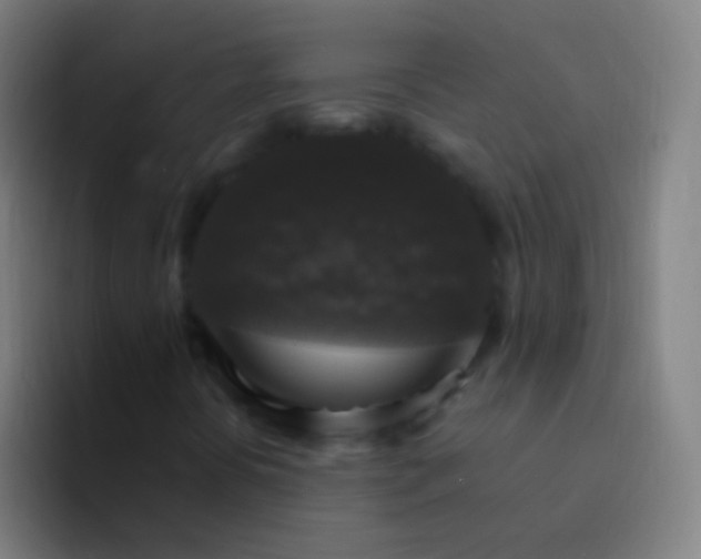 X0000094351394200711162020