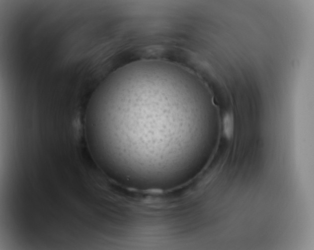 X0000094351395200711162020