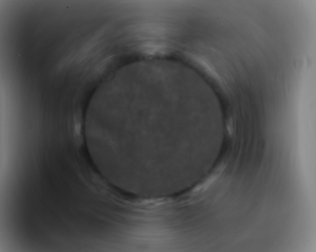 X0000094351396200711162020