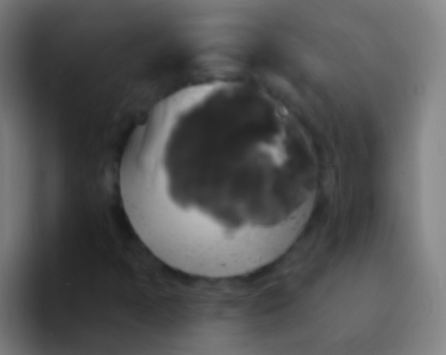 X0000094351397200711162020