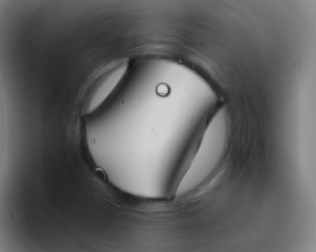 X0000094351402200711162020