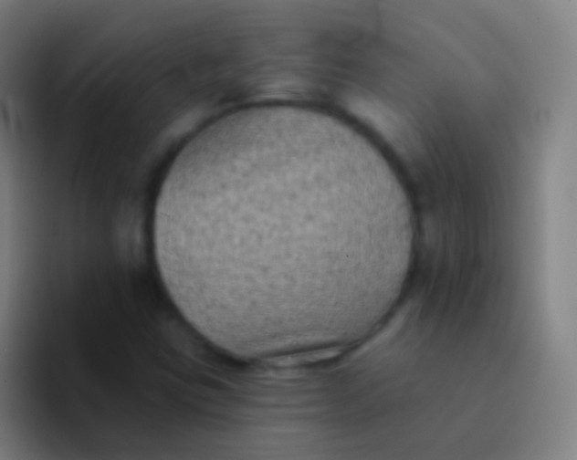 X0000094351403200711162020