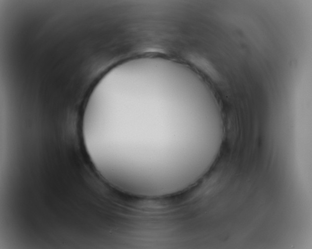 X0000094351404200711162020