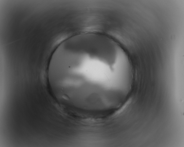 X0000094351405200711162020