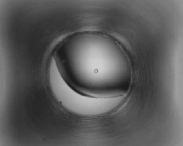 X0000094351406200711162020