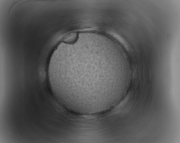 X0000094351407200711162020