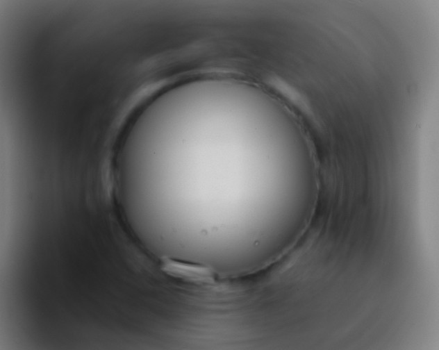 X0000094351408200711162021