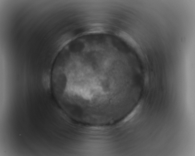 X0000094351409200711162021