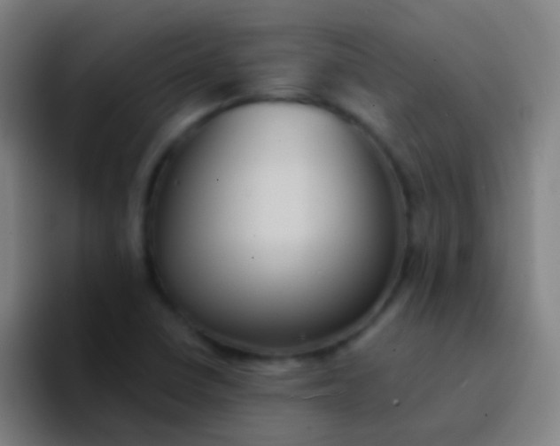 X0000094351410200711162021