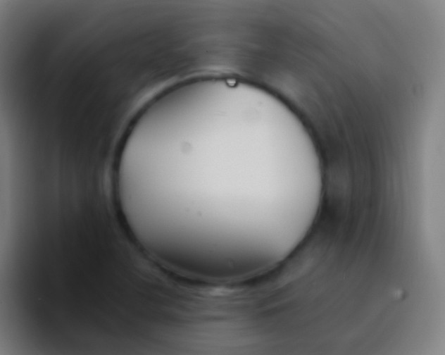 X0000094351412200711162021