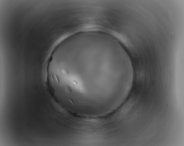 X0000094351413200711162021