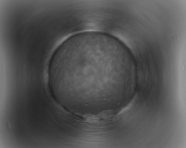 X0000094351415200711162021