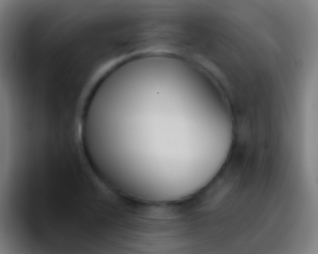 X0000094351416200711162021