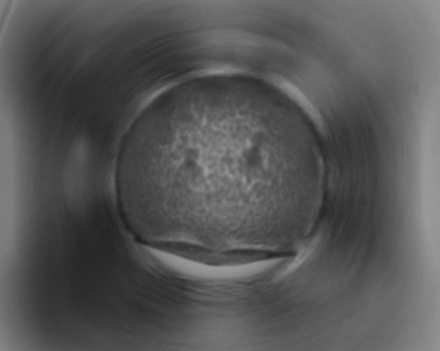 X0000094351417200711162021