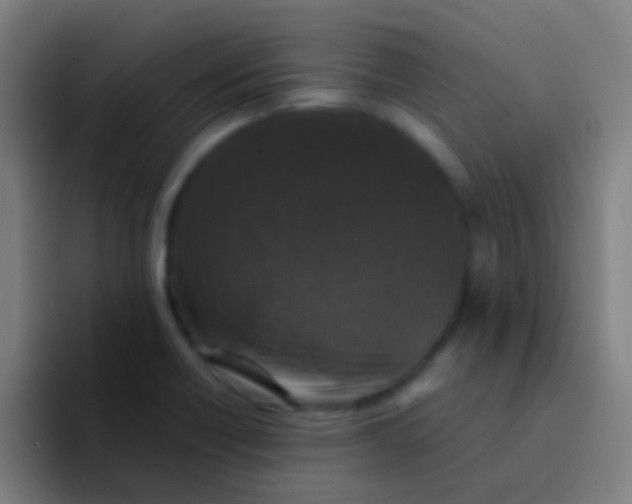 X0000094351418200711162021