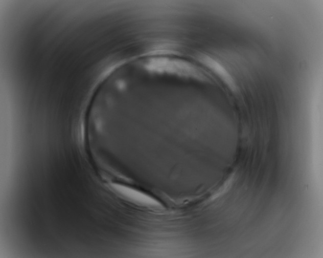 X0000094351419200711162021