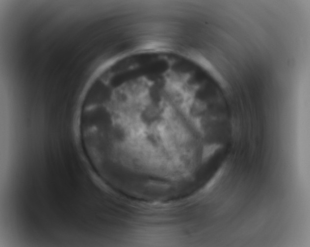 X0000094351421200711162021