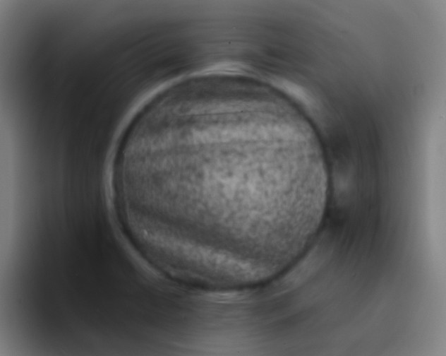 X0000094351422200711162021