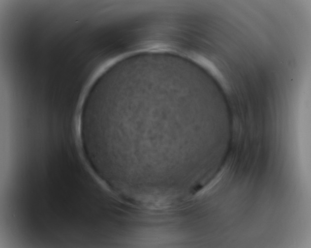 X0000094351424200711162021