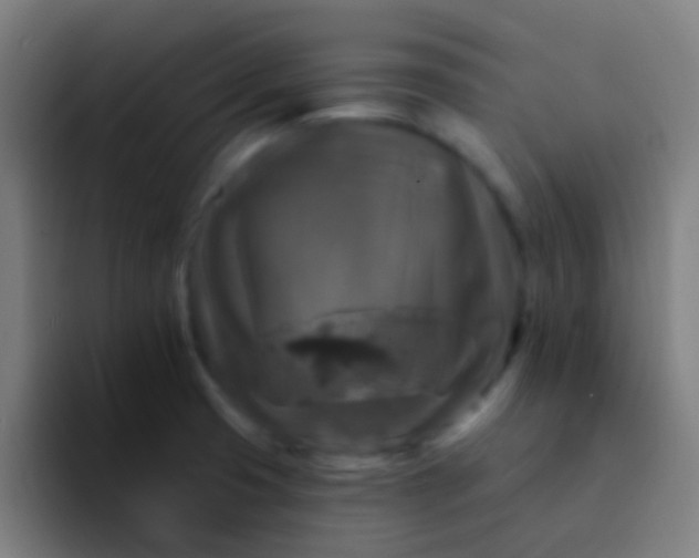 X0000094351425200711162021