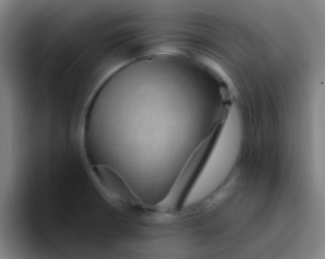 X0000094351426200711162021