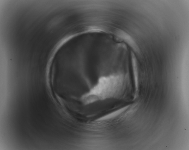 X0000094351427200711162021