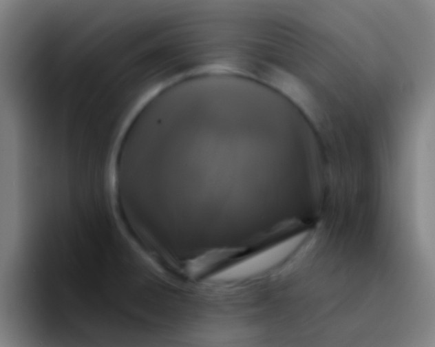 X0000094351428200711162021